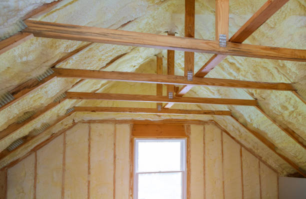 Best Insulation Replacement Services  in Steamboat Springs, CO