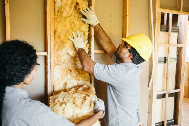 Best Energy-efficient Insulation  in Steamboat Springs, CO