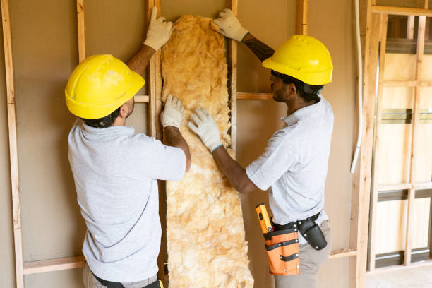 Best Spray Foam Insulation  in Steamboat Springs, CO