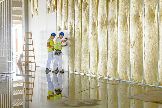 Best Spray Foam Insulation  in Steamboat Springs, CO